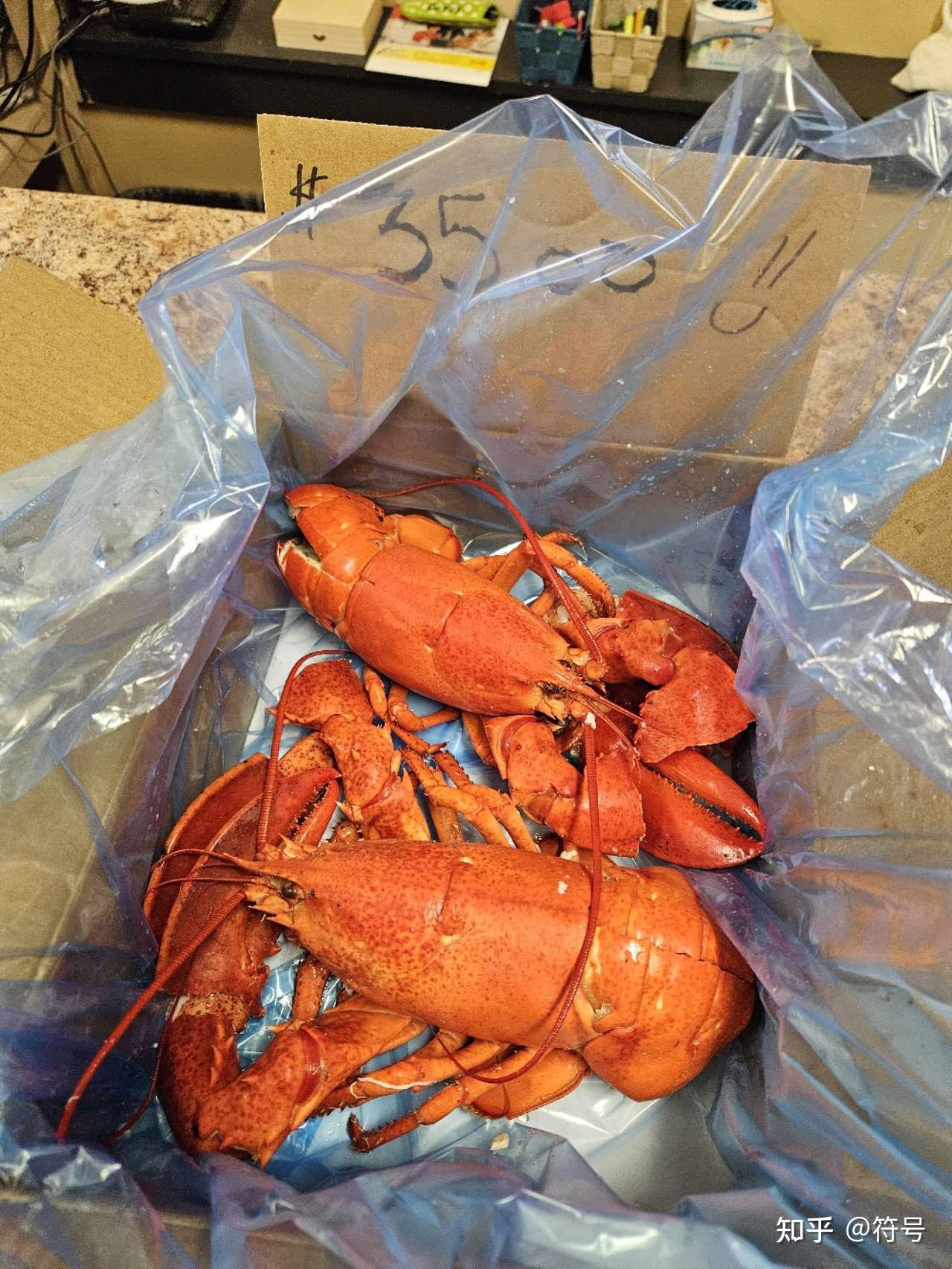 我们点了两只大龙虾，算上加工费只要35加币
