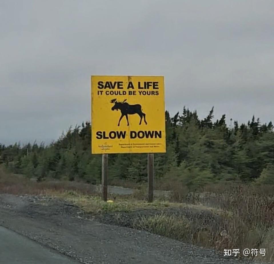 高速路边的警示牌